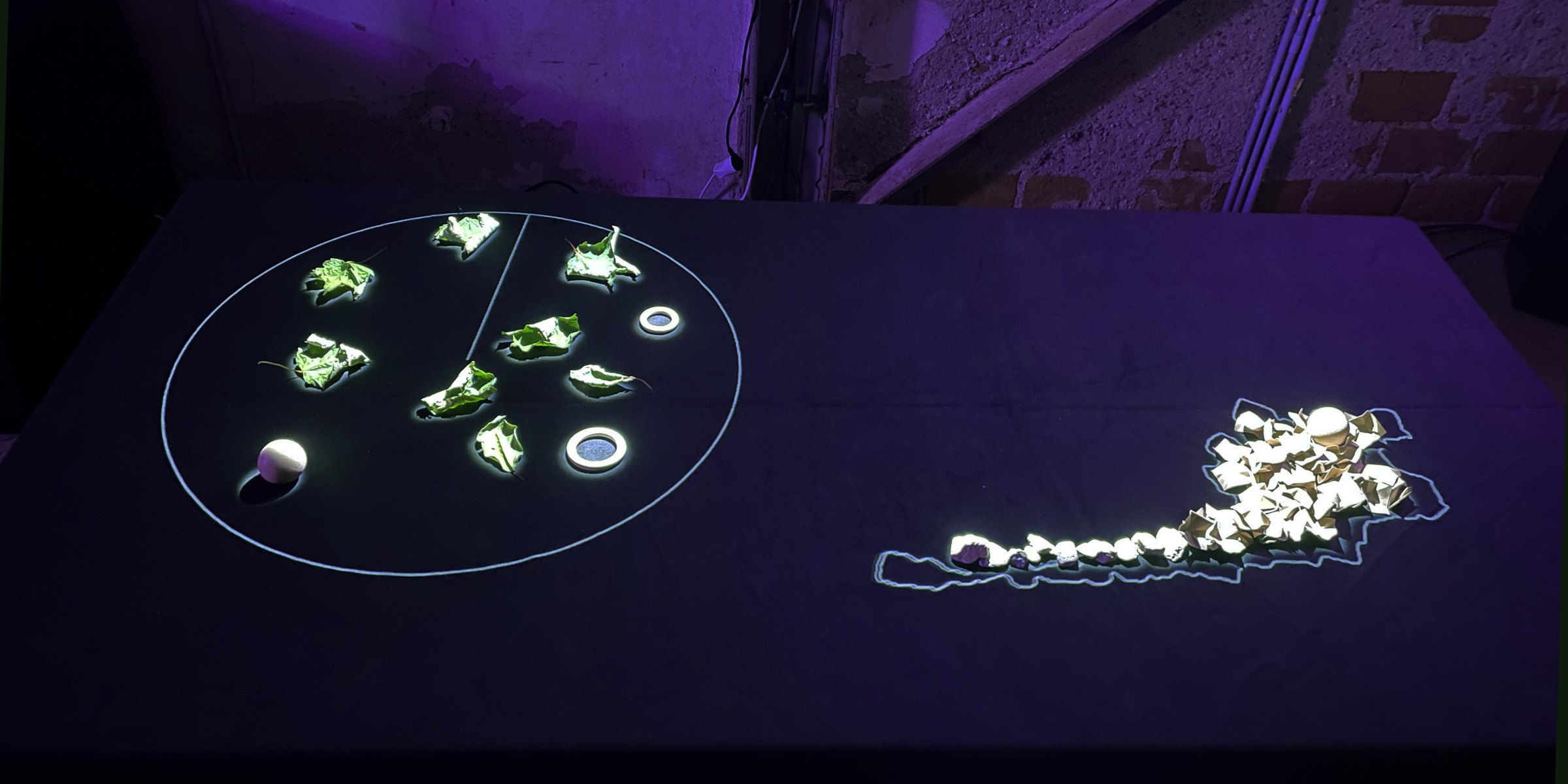 Leaves and small objects gathered in a projected circle, next to a long compound shape of shells