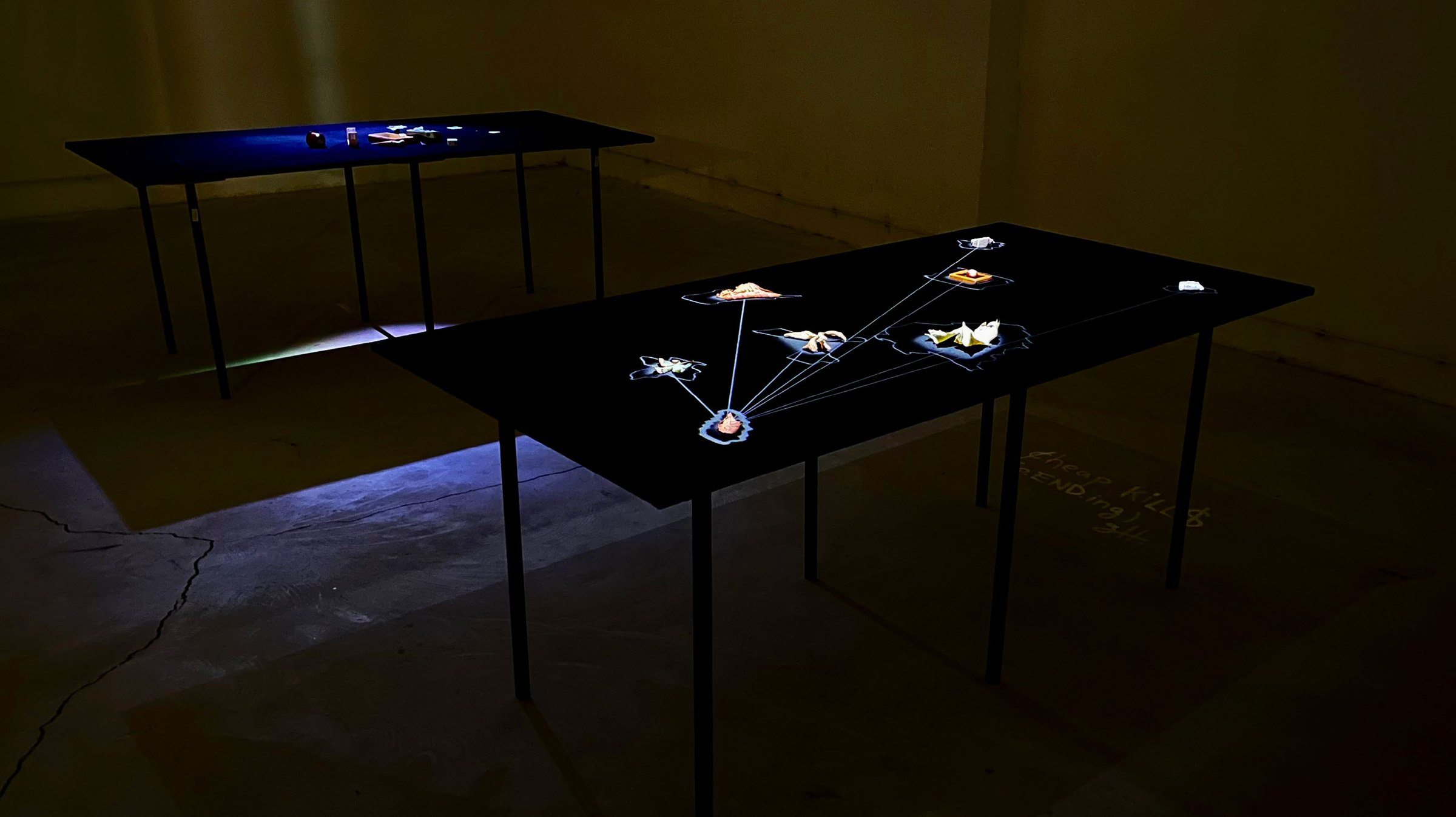 Well-Tempered Objects, two black tables with illuminated objects in a dark room